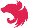 nestjs
